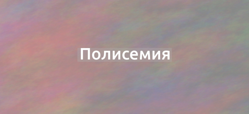 Что означает термин Полисемия?