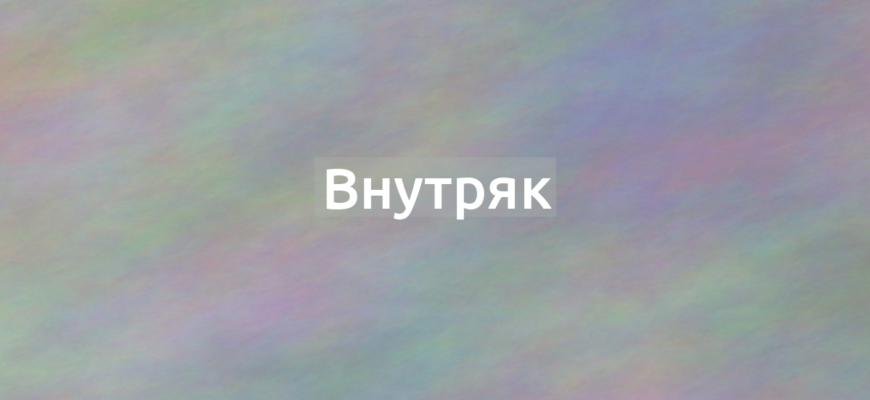 Что означает термин Внутряк?